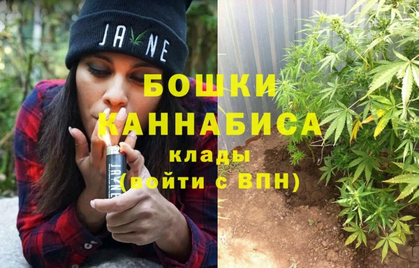 мдпв Гусь-Хрустальный