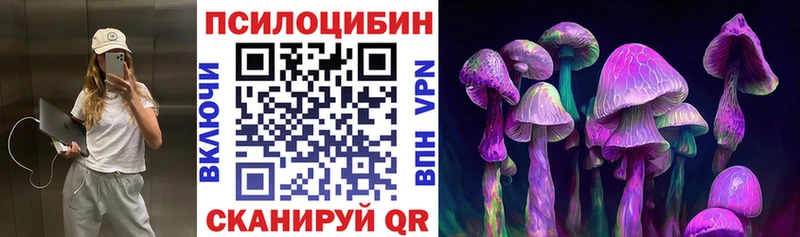 продажа наркотиков Малоархангельск Галлюциногенные грибы Cubensis